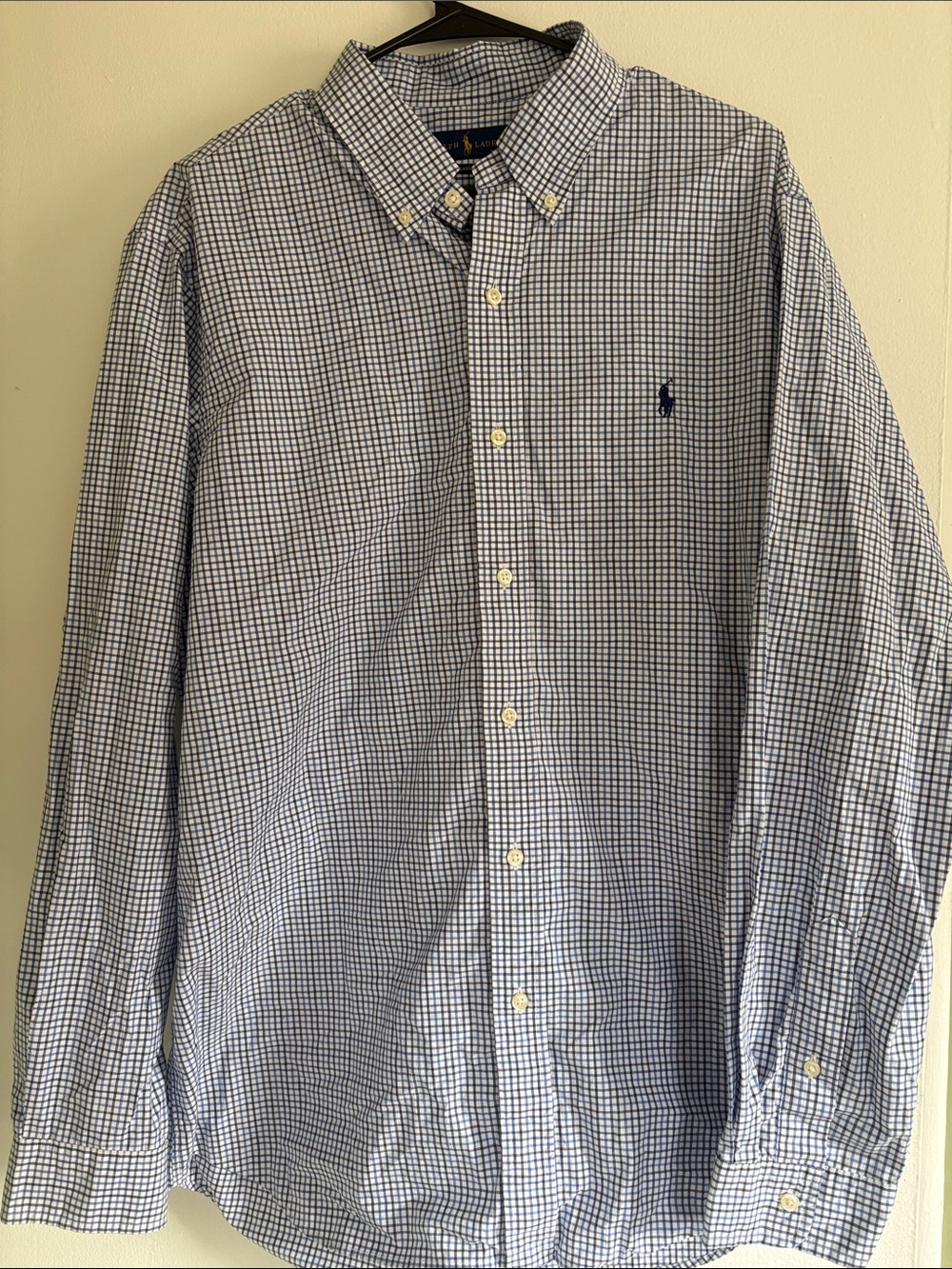 Ralph Lauren Navy and White Micro-Check Button-Down Shirt